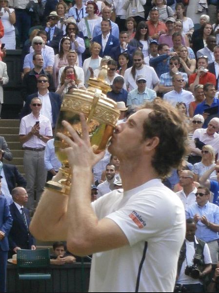 Andy Murray Wimbledon Win
