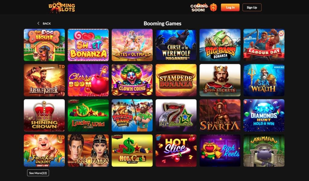 Top Credit Card Casino for Slot Variety